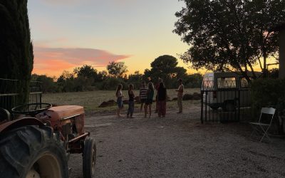 Vendanges 2026 : une nouvelle page s’écrit au Domaine Escarvaillac
